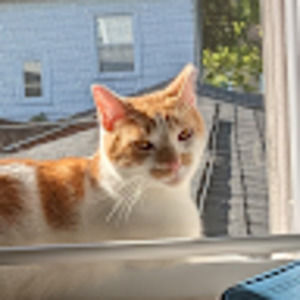 Meet your Posher, Gianna